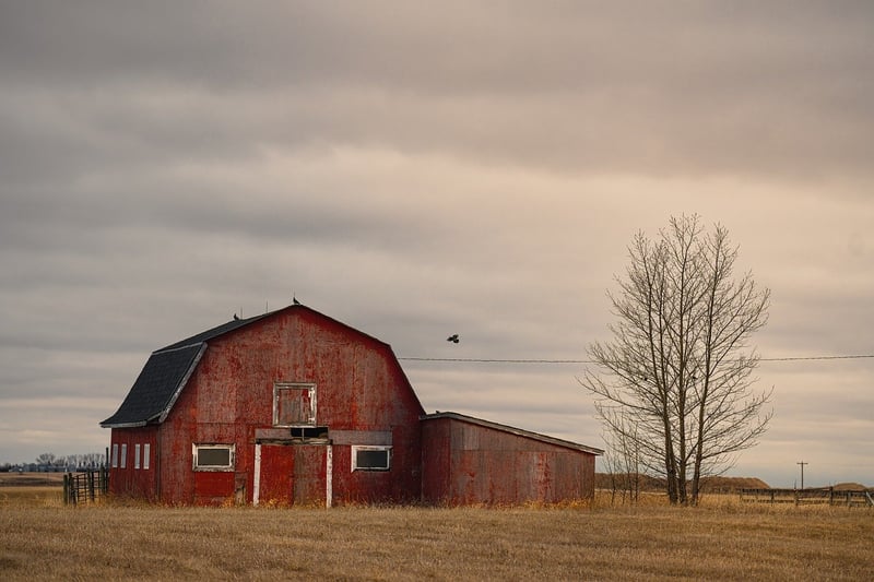 Willow Creek Ranch